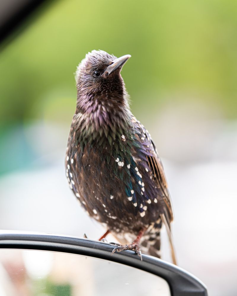 Photograph by Иван Грачев