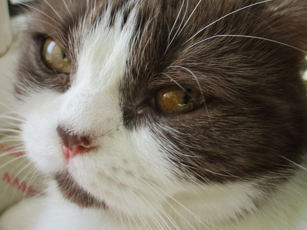 Фотография автора  Lizuza