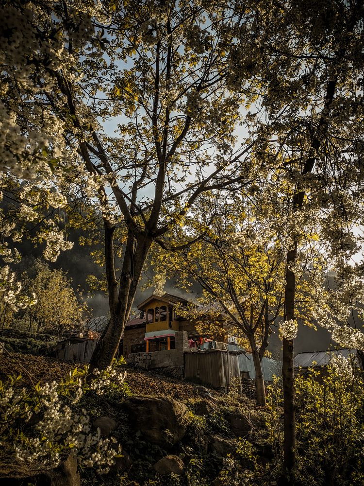 Photograph by Mirza Muneeb