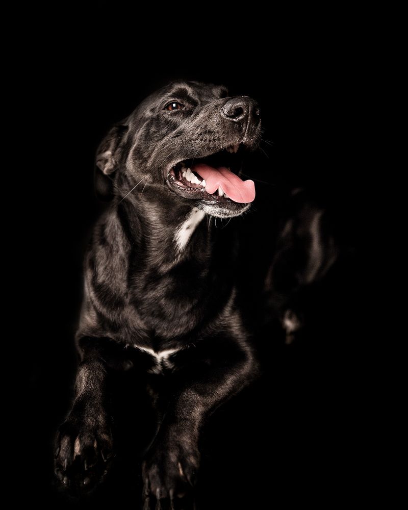 Фотография автора Татьяна Кам