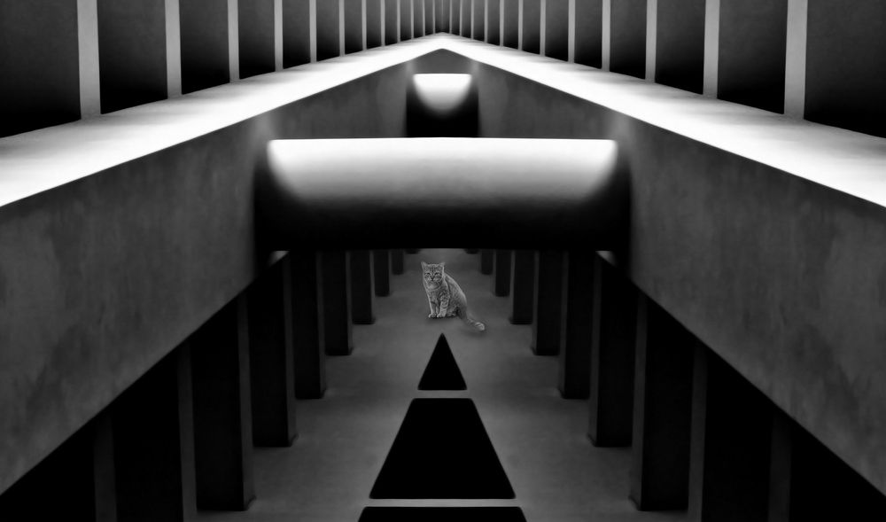 Meet somebody's gaze