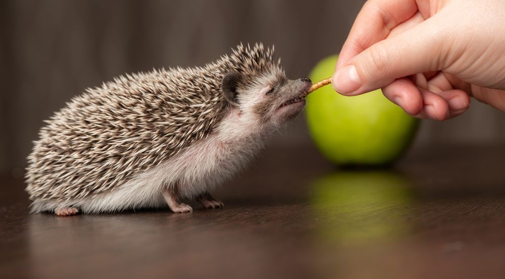 Photograph by Иван Грачев