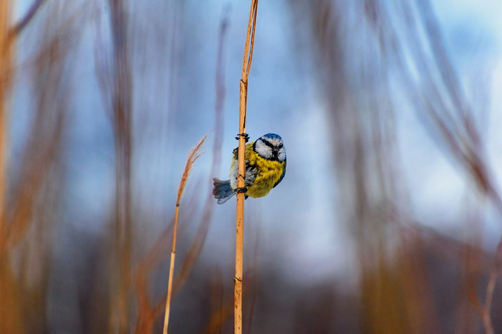 Photograph by Иван Курятников