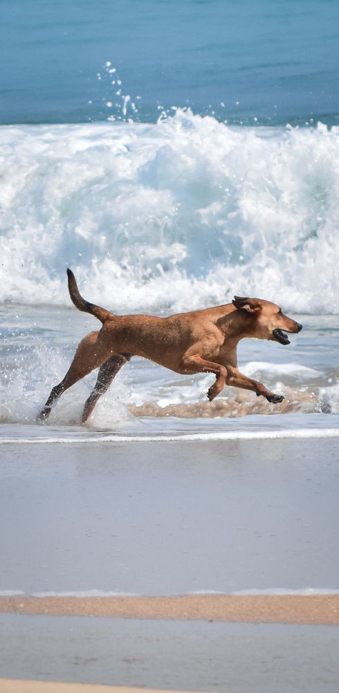 Photograph by Jean Cursino