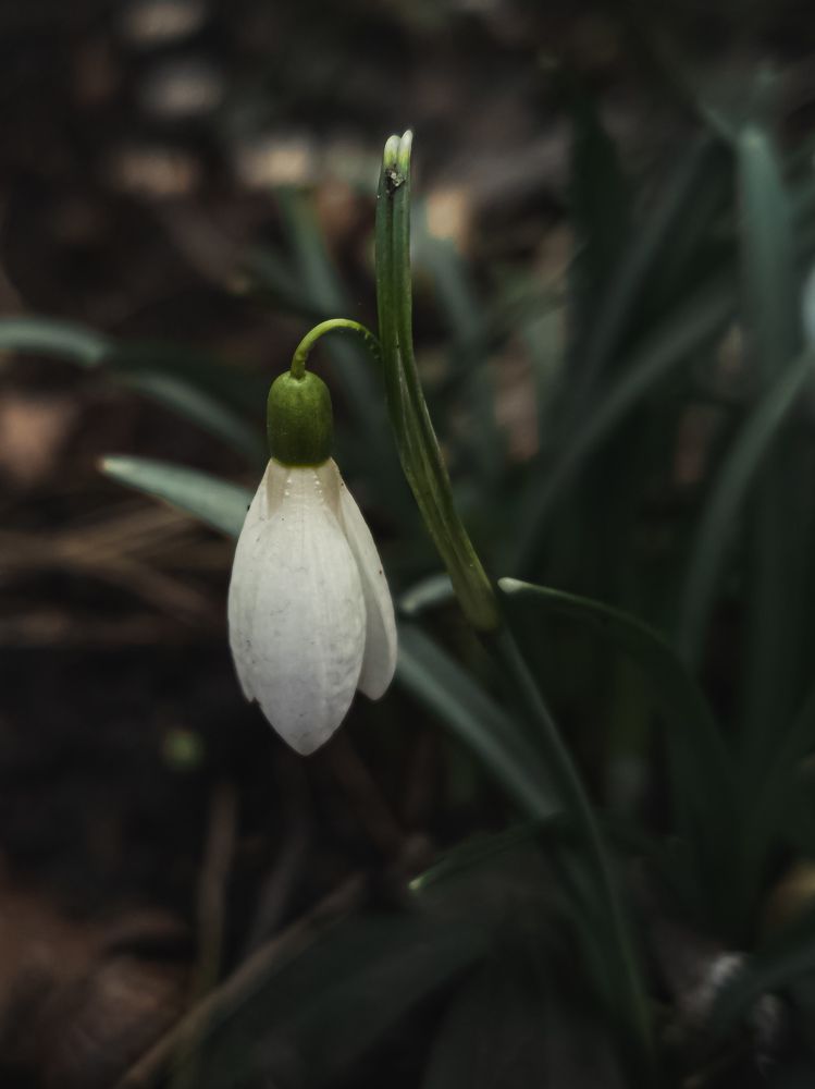 Photograph by Александр Безуглый