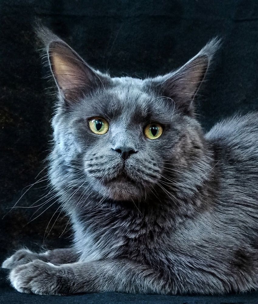 Photograph by Ирина Дегтярева