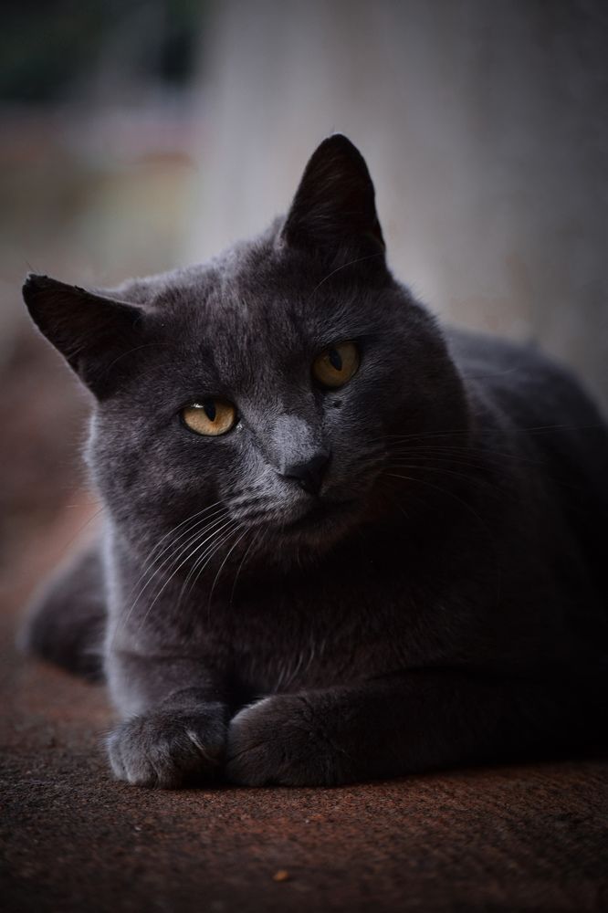 Photograph by Jean Cursino