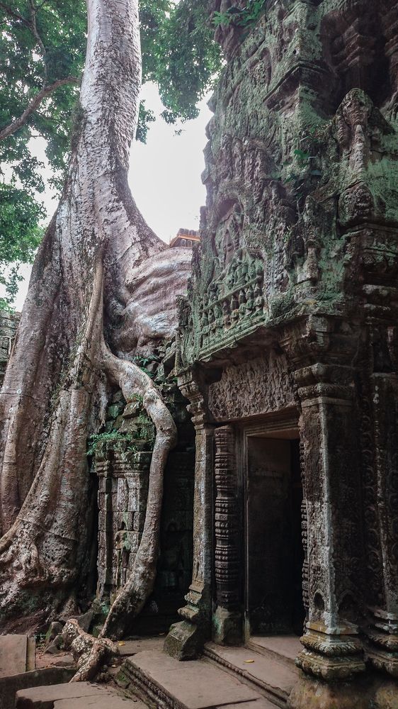 Photograph by Ivan P.