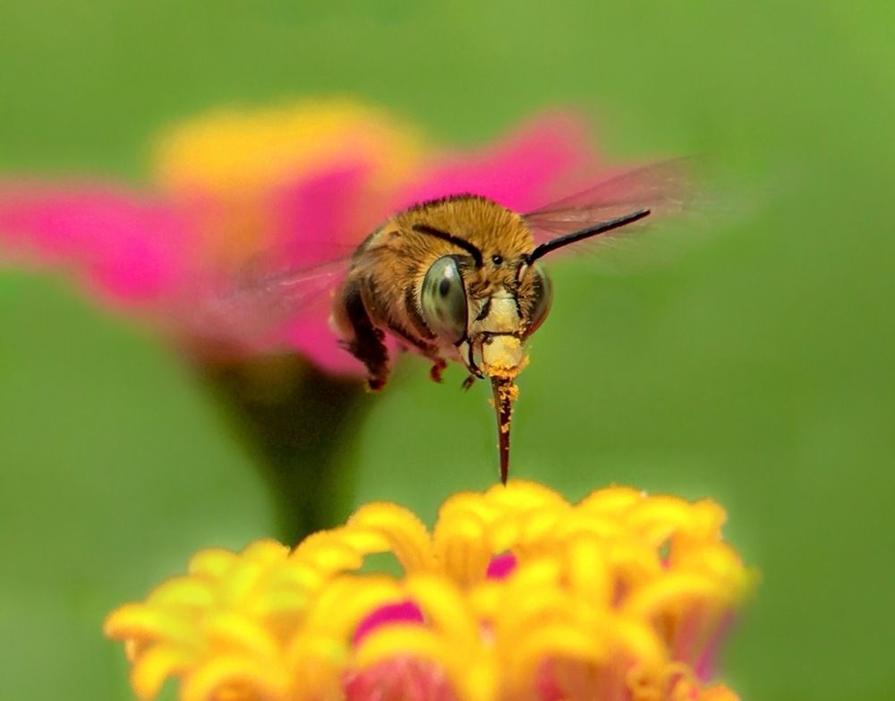 Photograph by Tania Herdianti