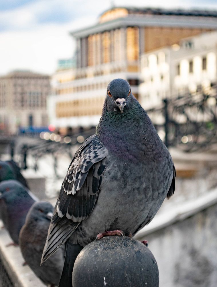 Photograph by Алена Жилина