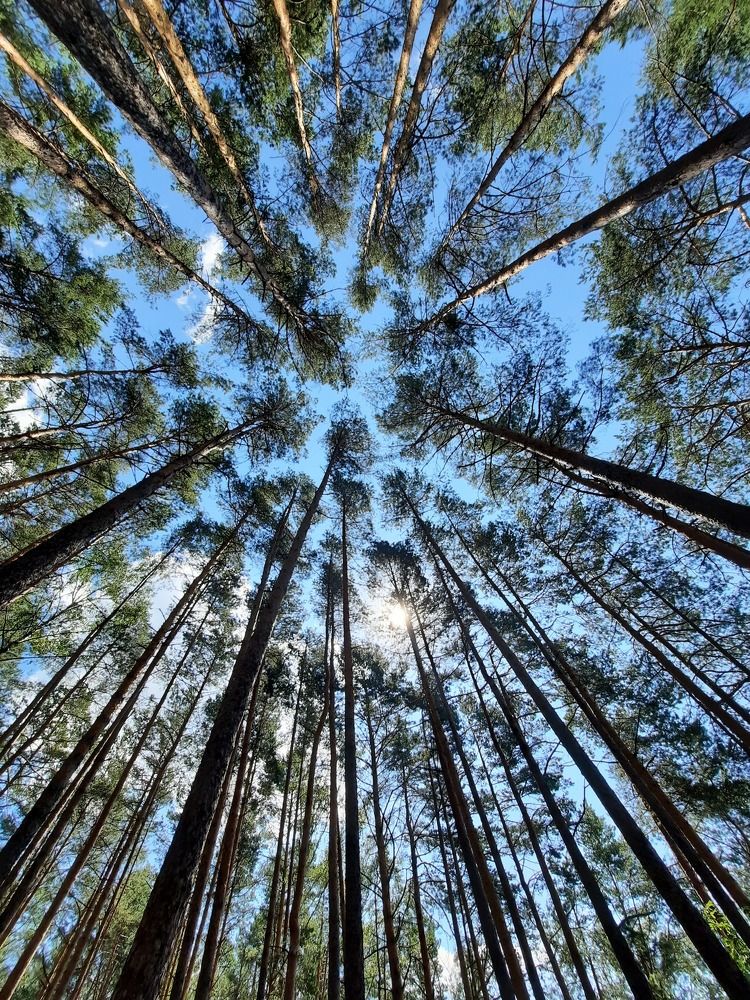 Photograph by Дарья Кончакова