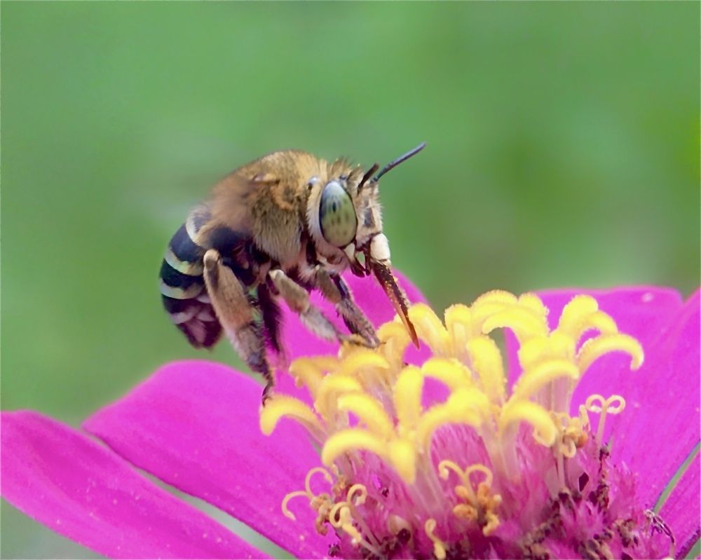 Photograph by Tania Herdianti