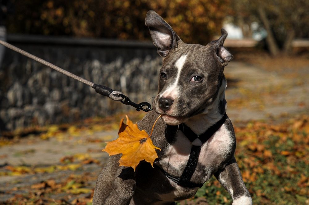Photograph by Валентина Новицкая