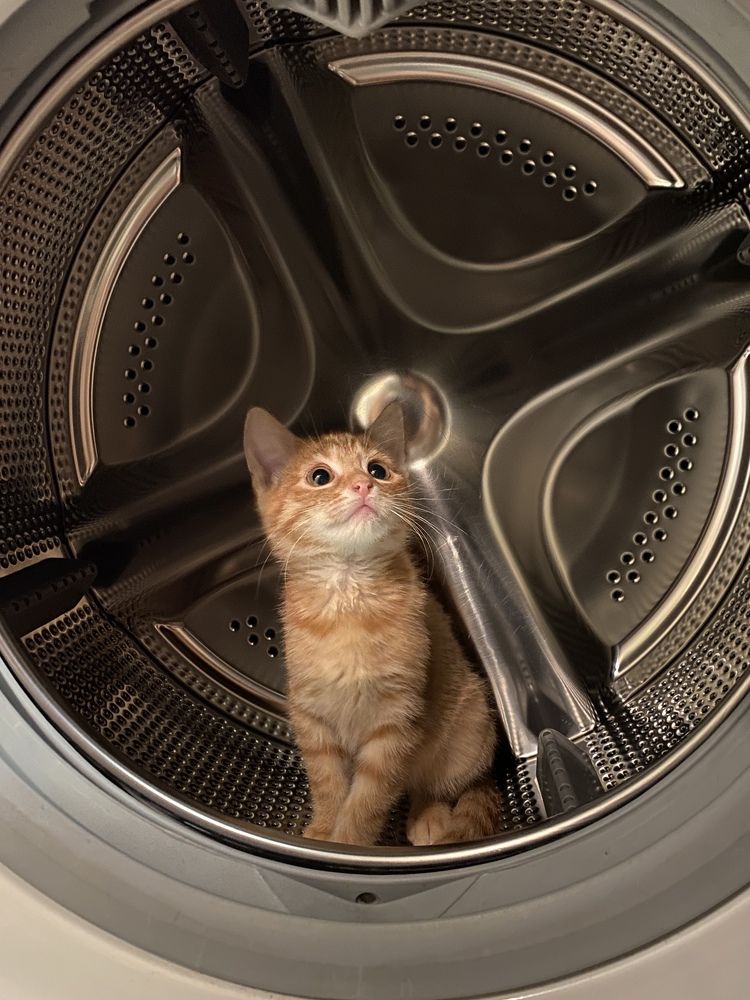 Photograph by Юрий Хорошев