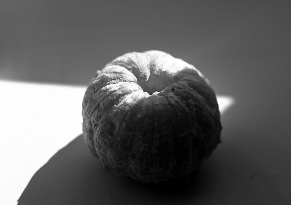 Photograph by Екатерина Филина