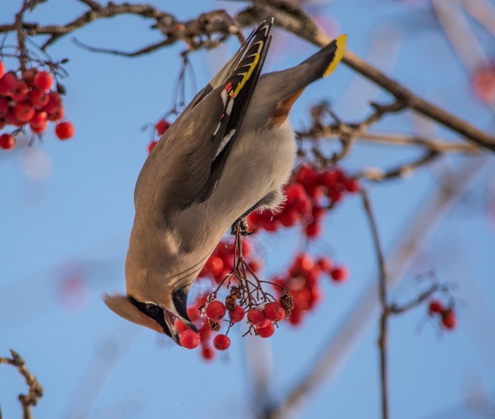 Photograph by Николай Лысцев