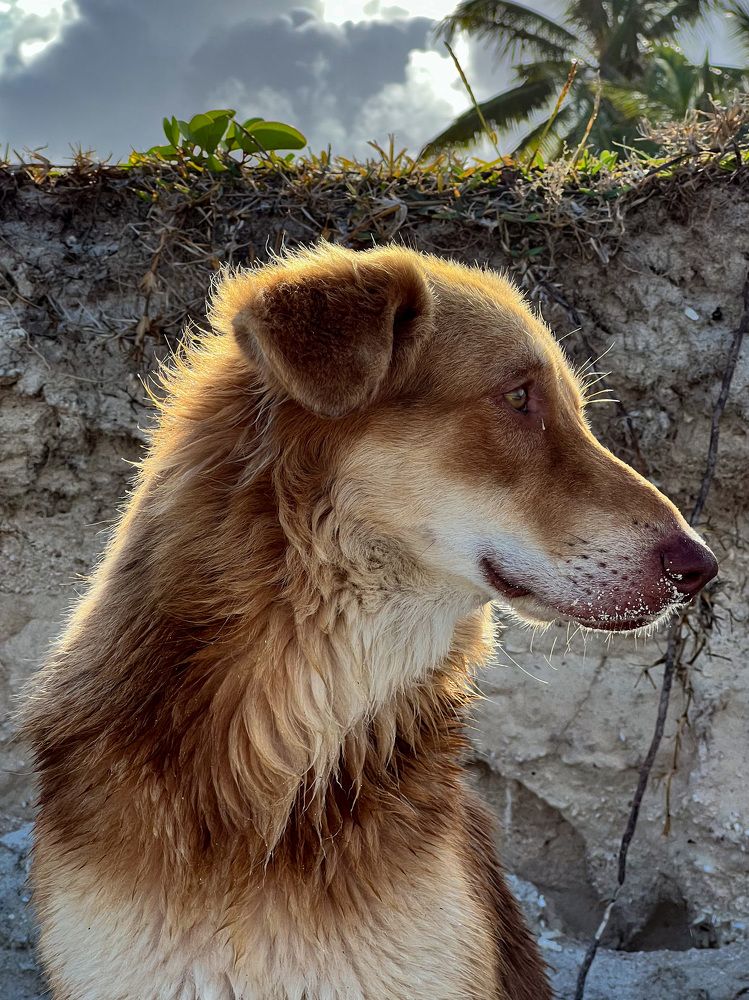 Photograph by Christine ECHEVET-ADAM de VILLIERS