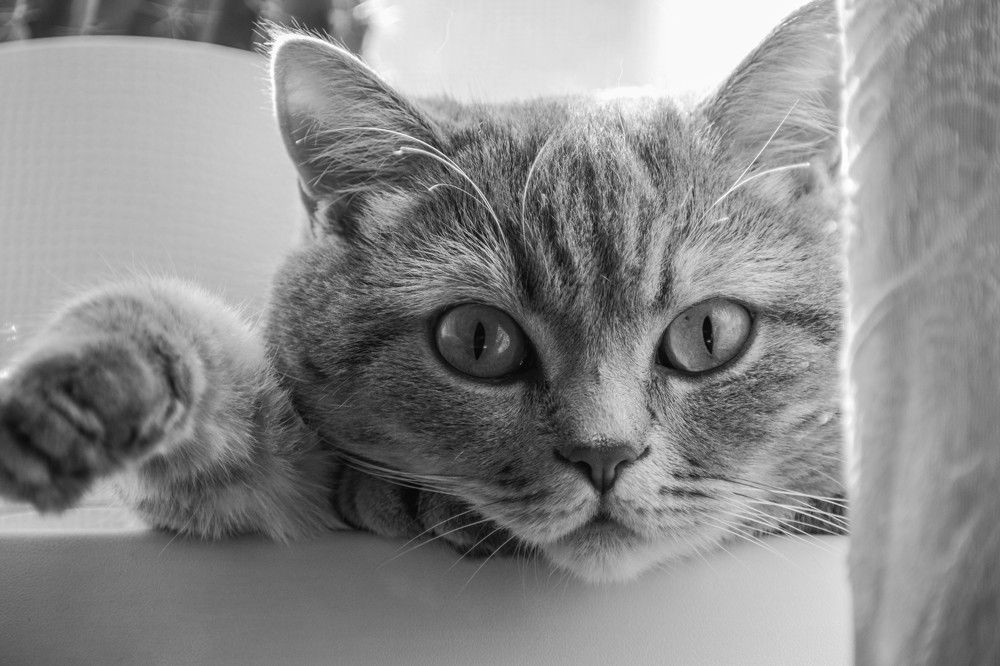 Photograph by Екатерина Стрельцова