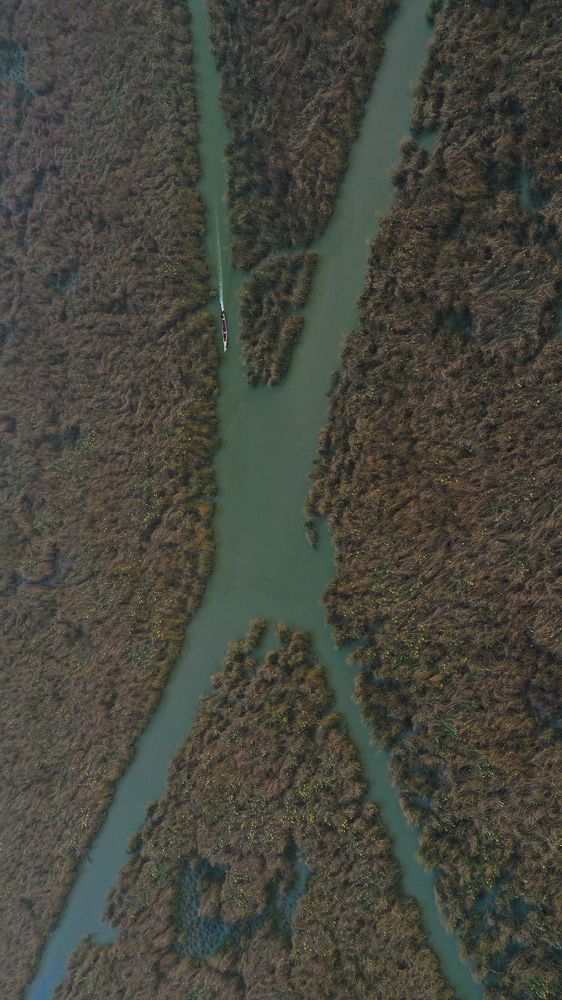 Photograph by Ali Alyassiri