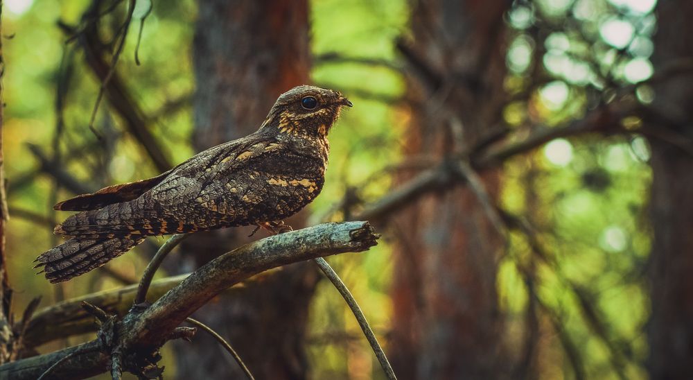 Photograph by Александр Воднев