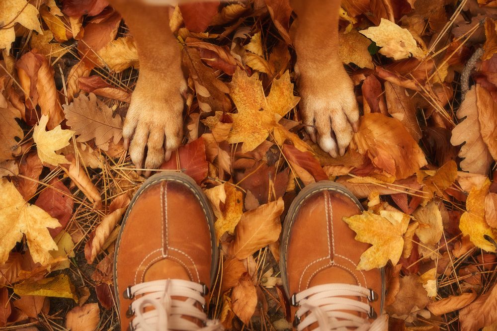 Photograph by Ирина Корх