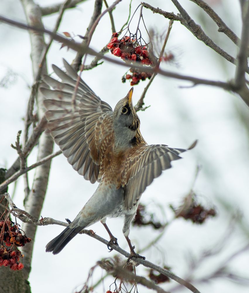 Photograph by Александр Воднев