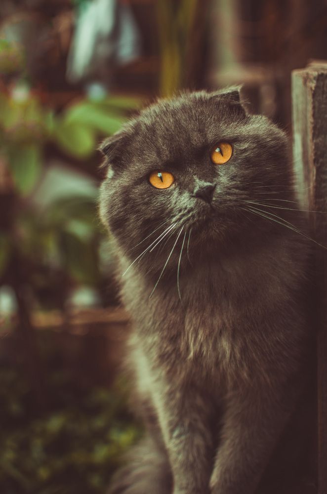 Photograph by Артём Шестаков