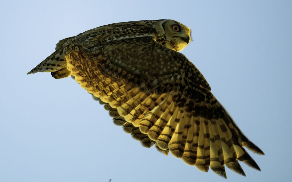 Photograph by Vignesh Ramachandran