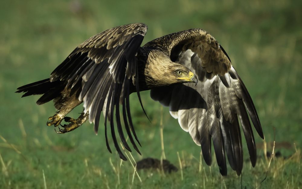 Photograph by Vignesh Ramachandran