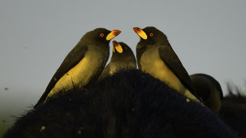 Photograph by Vignesh Ramachandran