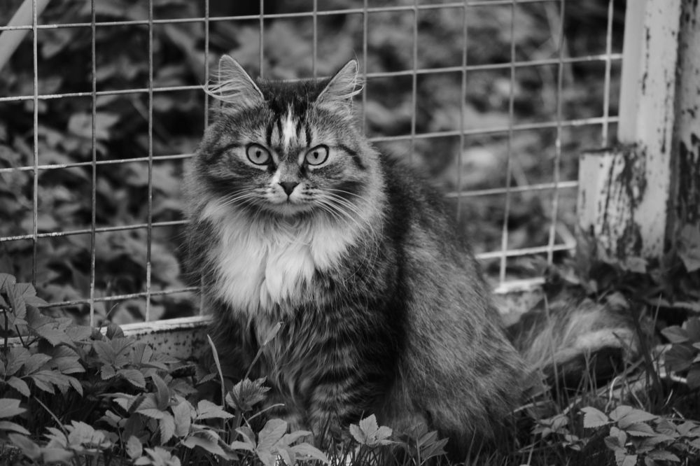 Photograph by Олеся Кузнецова