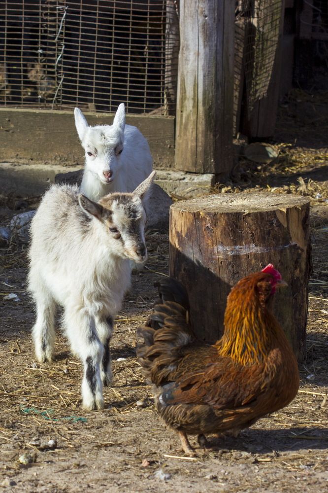 Photograph by Анна-Лаймуте Милошевич