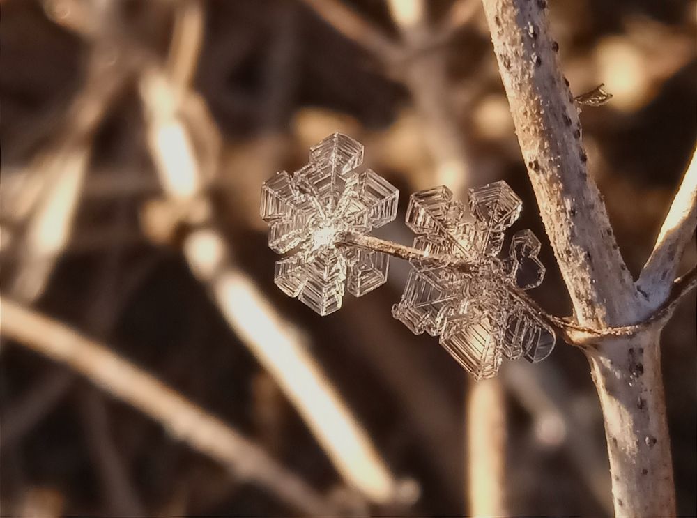 Photograph by Янина Черпухина-Андреева