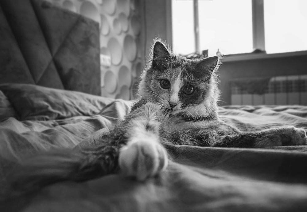 Photograph by Белан Олег