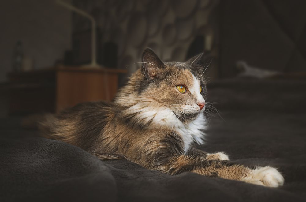 Photograph by Белан Олег