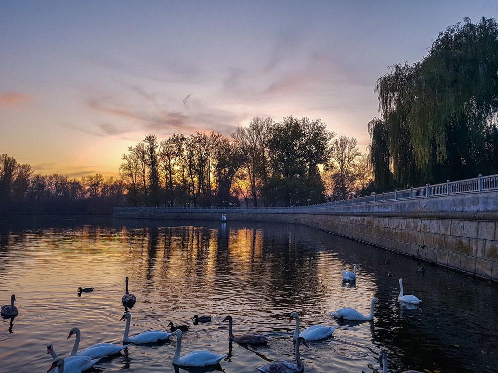 Photograph by Ирина Половцева