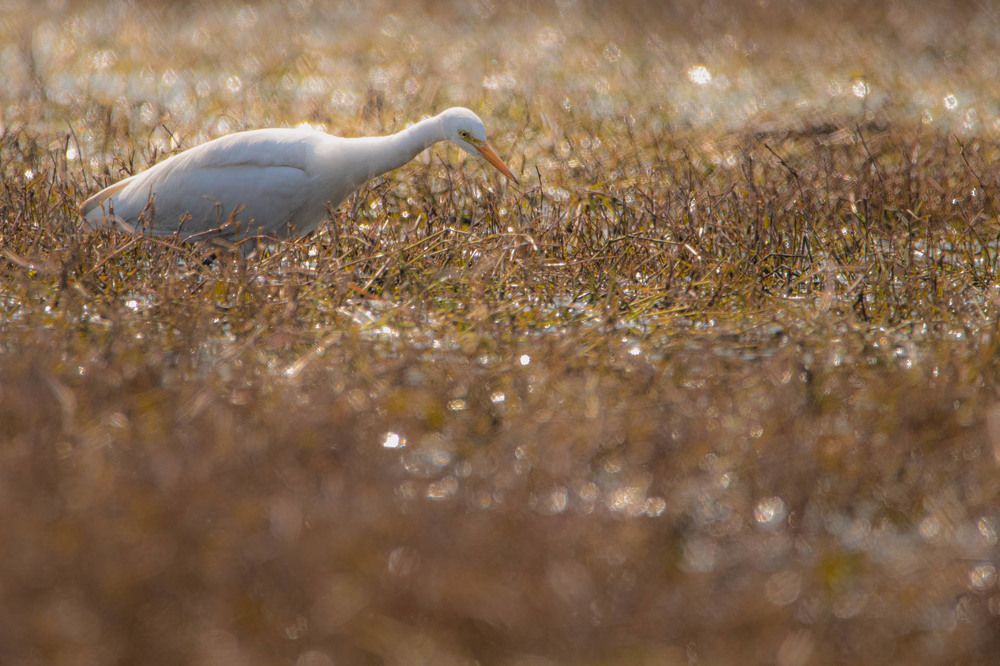 Photograph by Ishaan Shrimali