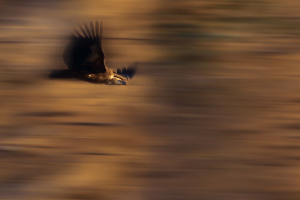 Photograph by Ishaan Shrimali