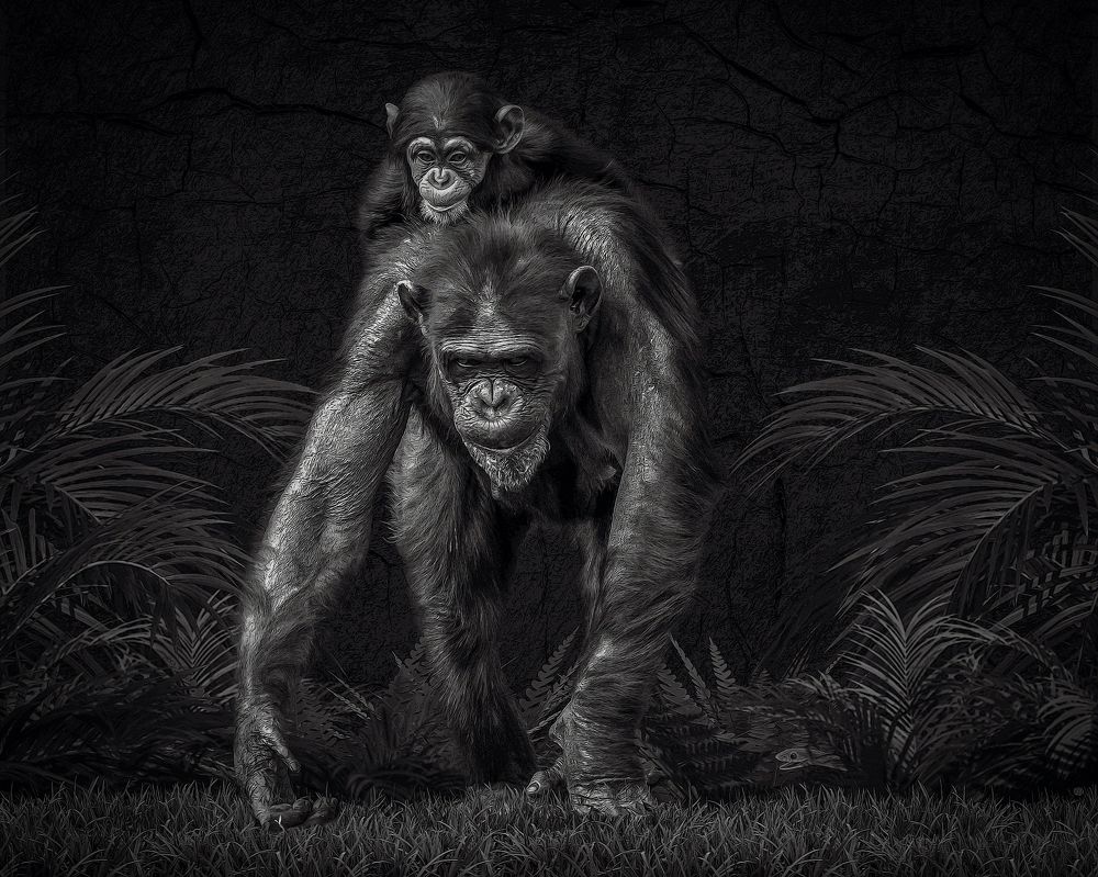 The gentle balance of life