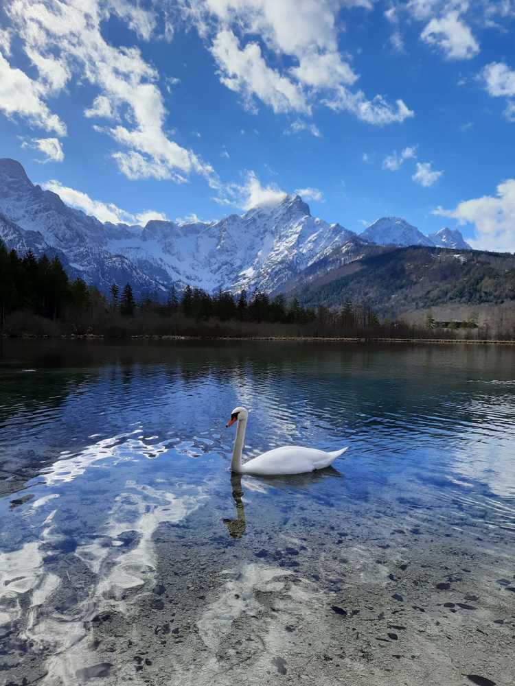 Photograph by Sarah Rührnößl