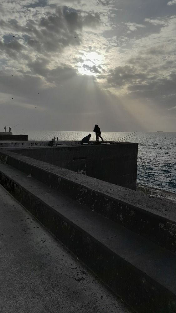 Photograph by Luís Fortunato