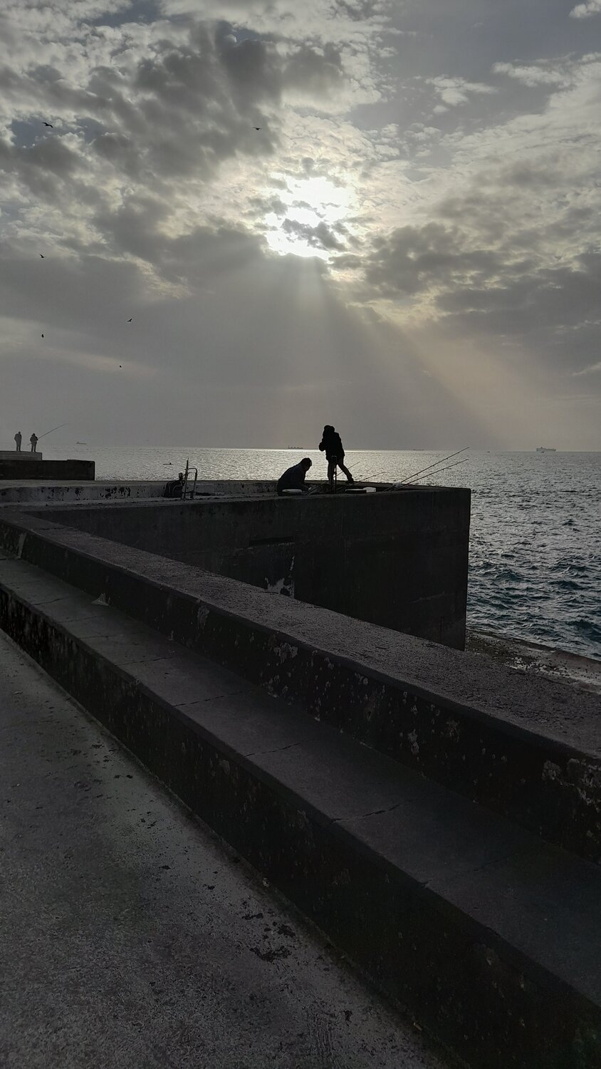 Photo #7476029