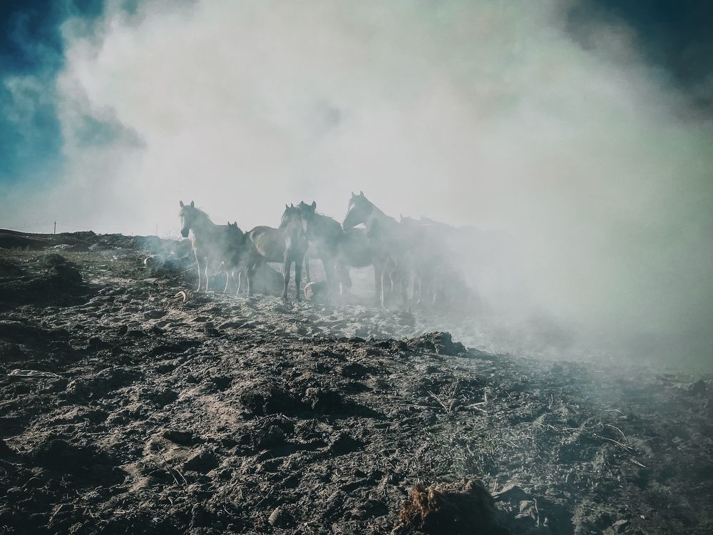 Photograph by Анастасия