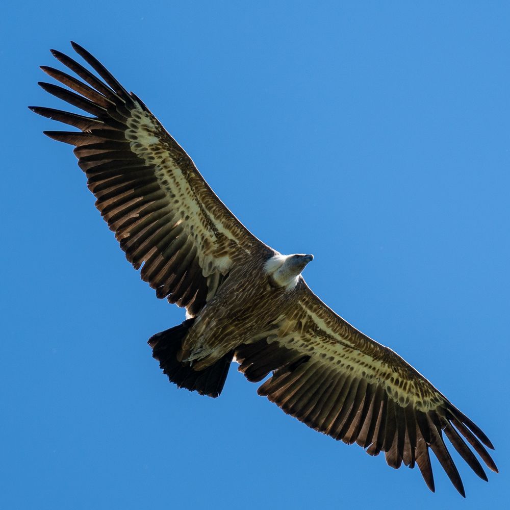 Photograph by Баландин Дмитрий