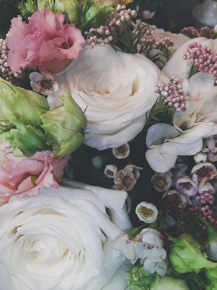 Photograph by Iljana Luksa