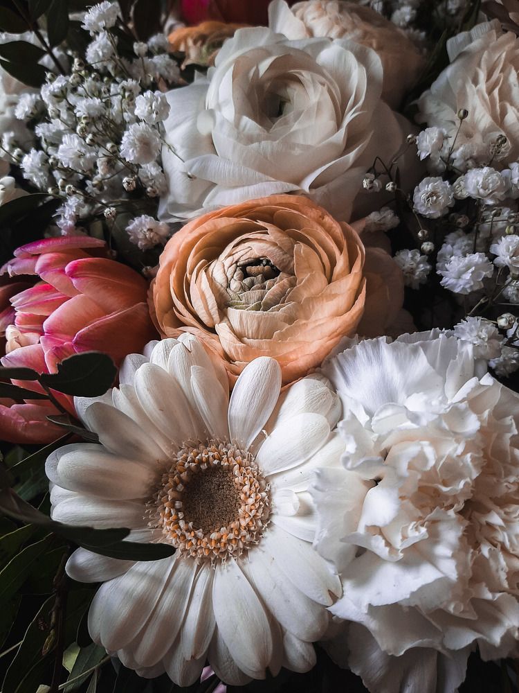 Photograph by Iljana Luksa