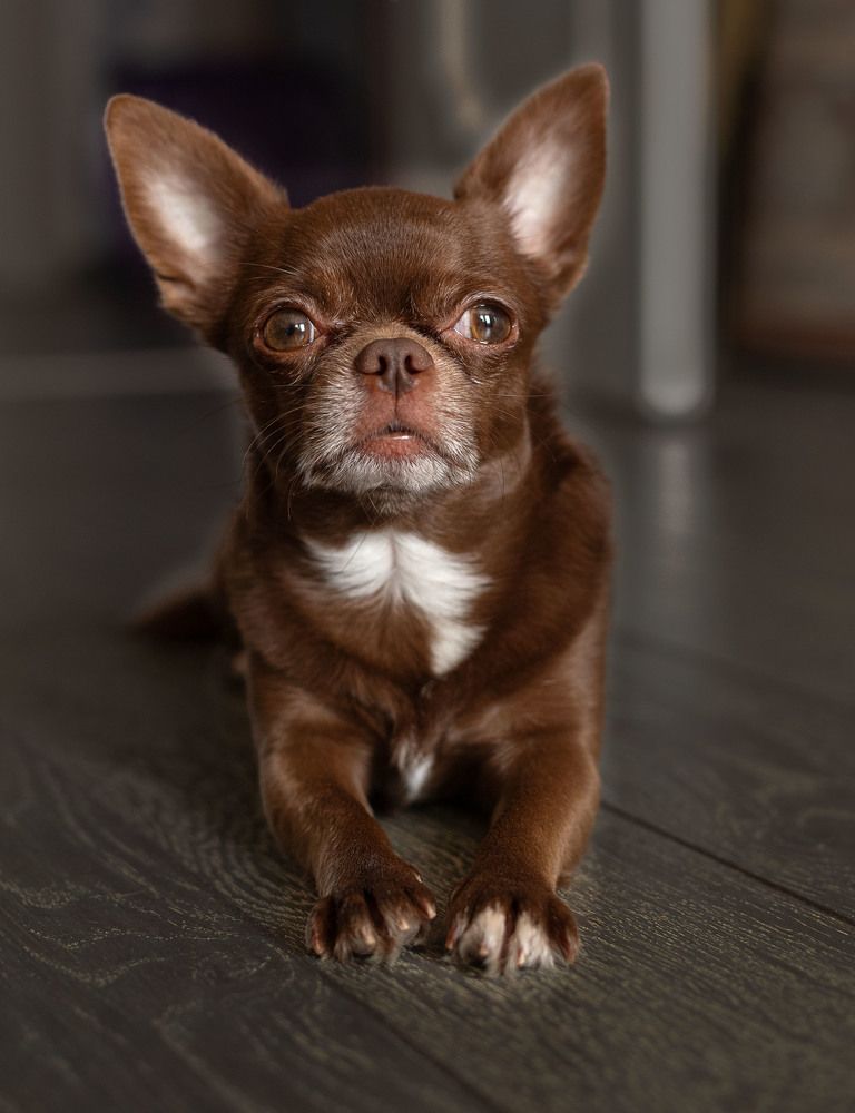 Фотография автора Анна Эйдельман