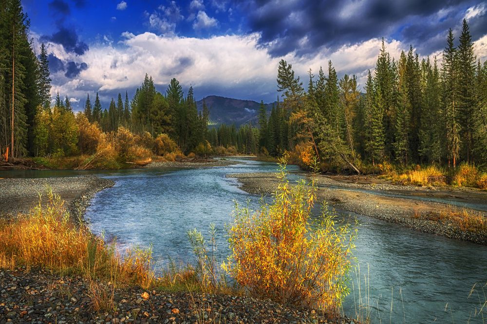 Фотография автора Марина Юдинских