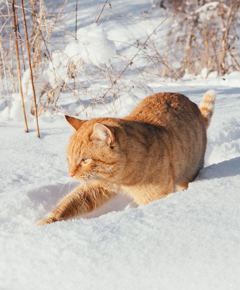 Photograph by Татьяна Суржанская