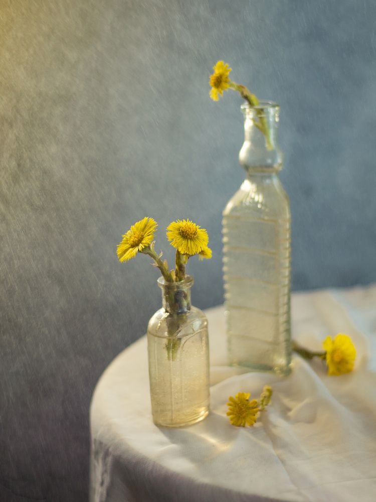 Photograph by Ольга Репина